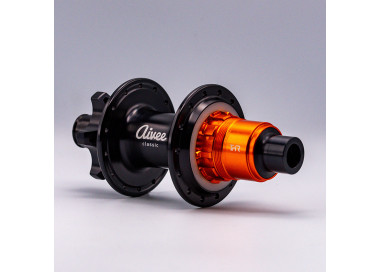 Classic rear hub for disc brakes