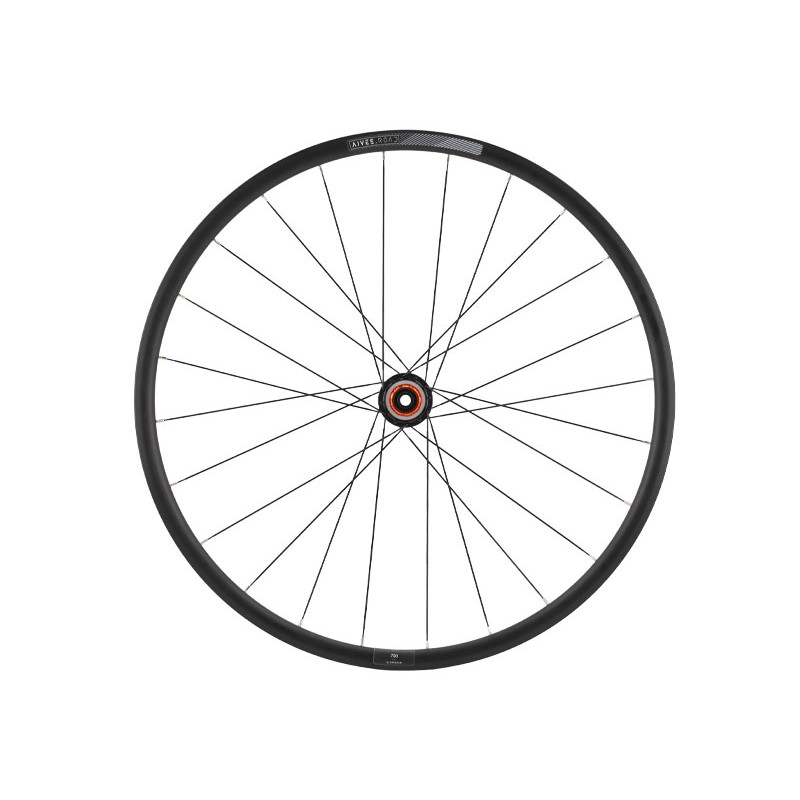 Paire de roues Princeton Peak 4550 Evolution DT240 Tubeless - Achat en Paire de roues Princeton Peak 4550 Evolution DT240 Tubeless - Achat en