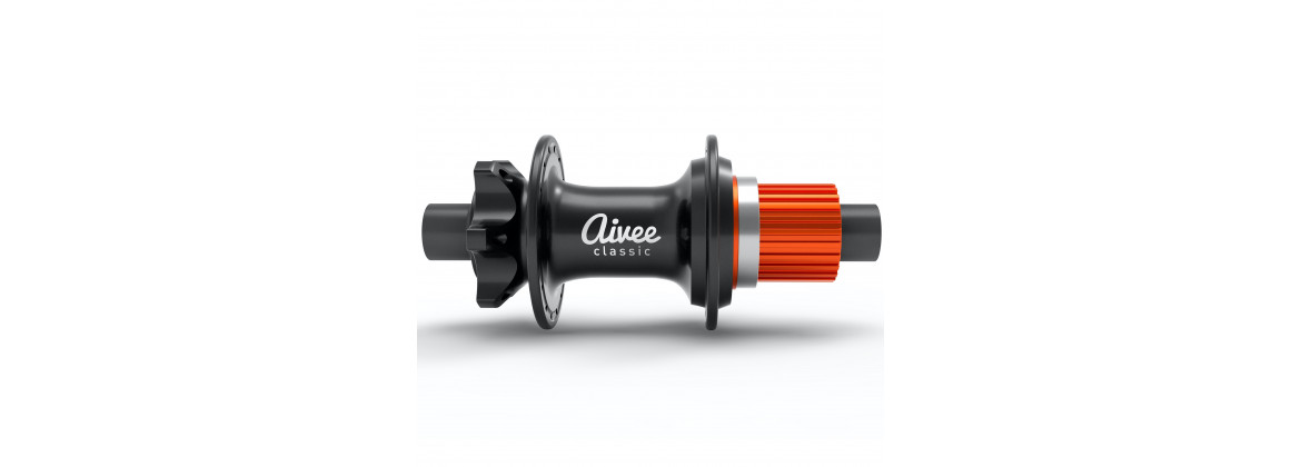 E-BIKE / Electric Bike High performance Hubs | AIVEE